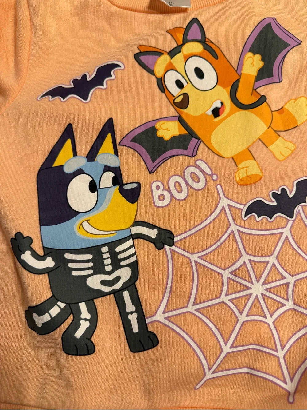 Bluey HalloweenGraphic Sweatshirt Children’s Place Black Leggings NWT Size 5T